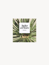 NO PORTE_Savon Cedrus - Fragrance