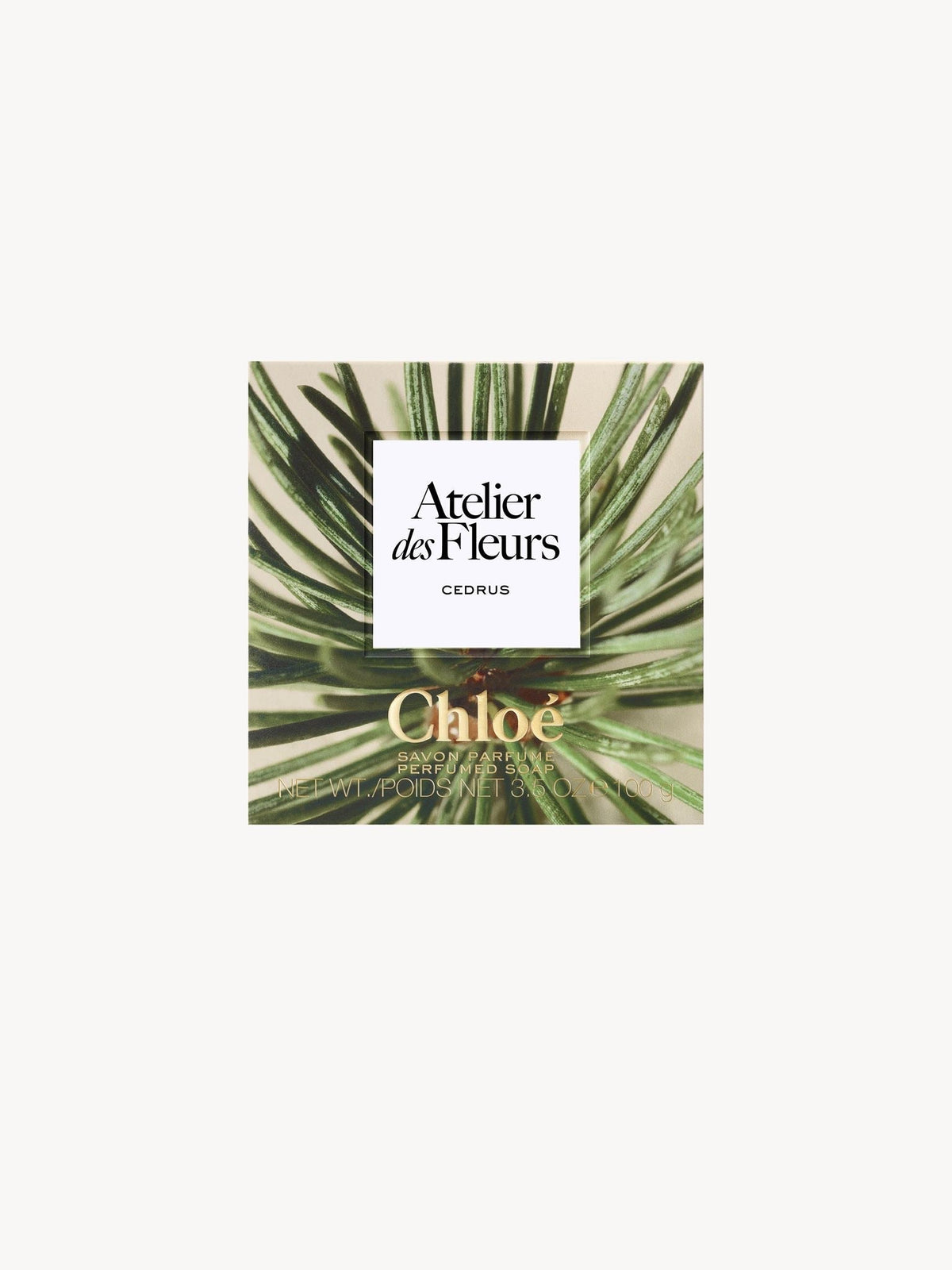 NO PORTE_Savon Cedrus - Fragrance