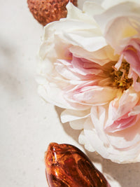 NO PORTE_Eau de parfum Chloé - Fragrance
