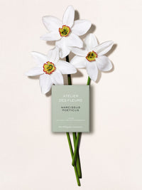 NO PORTE_EAU DE PARFUM  50ML