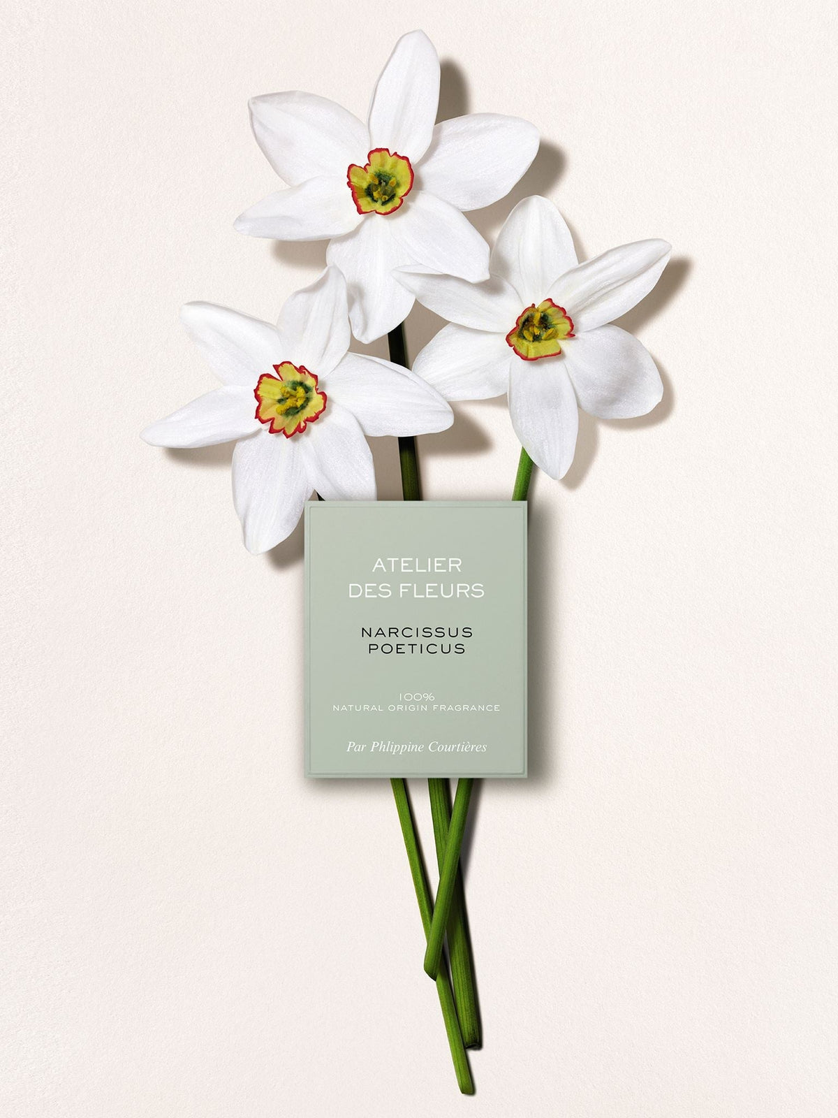 NO PORTE_EAU DE PARFUM  50ML