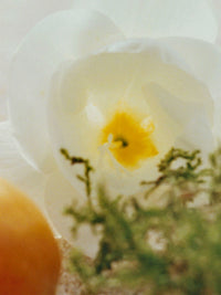 NO PORTE_EAU DE PARFUM 30ML