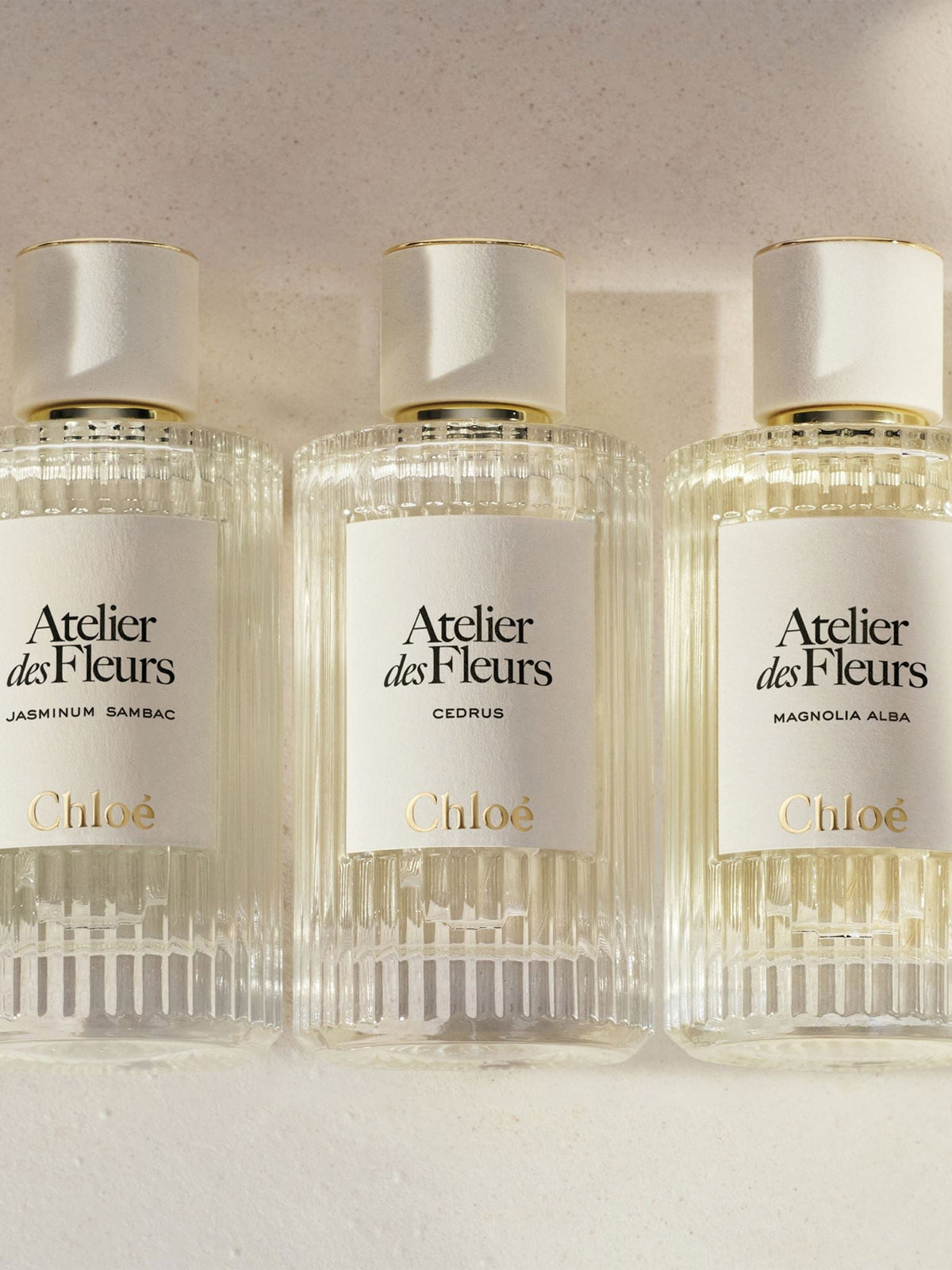 NO PORTE_EAU DE PARFUM 50ML -