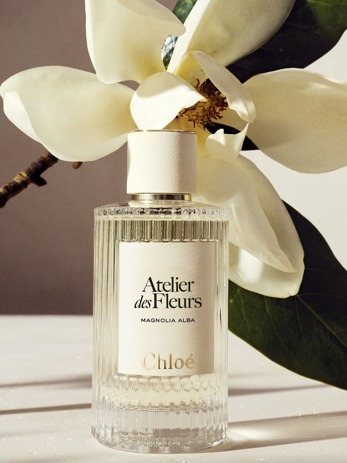 NO PORTE_EAU DE PARFUM 50ML -