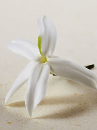 NO PORTE_EAU DE PARFUM  50ML