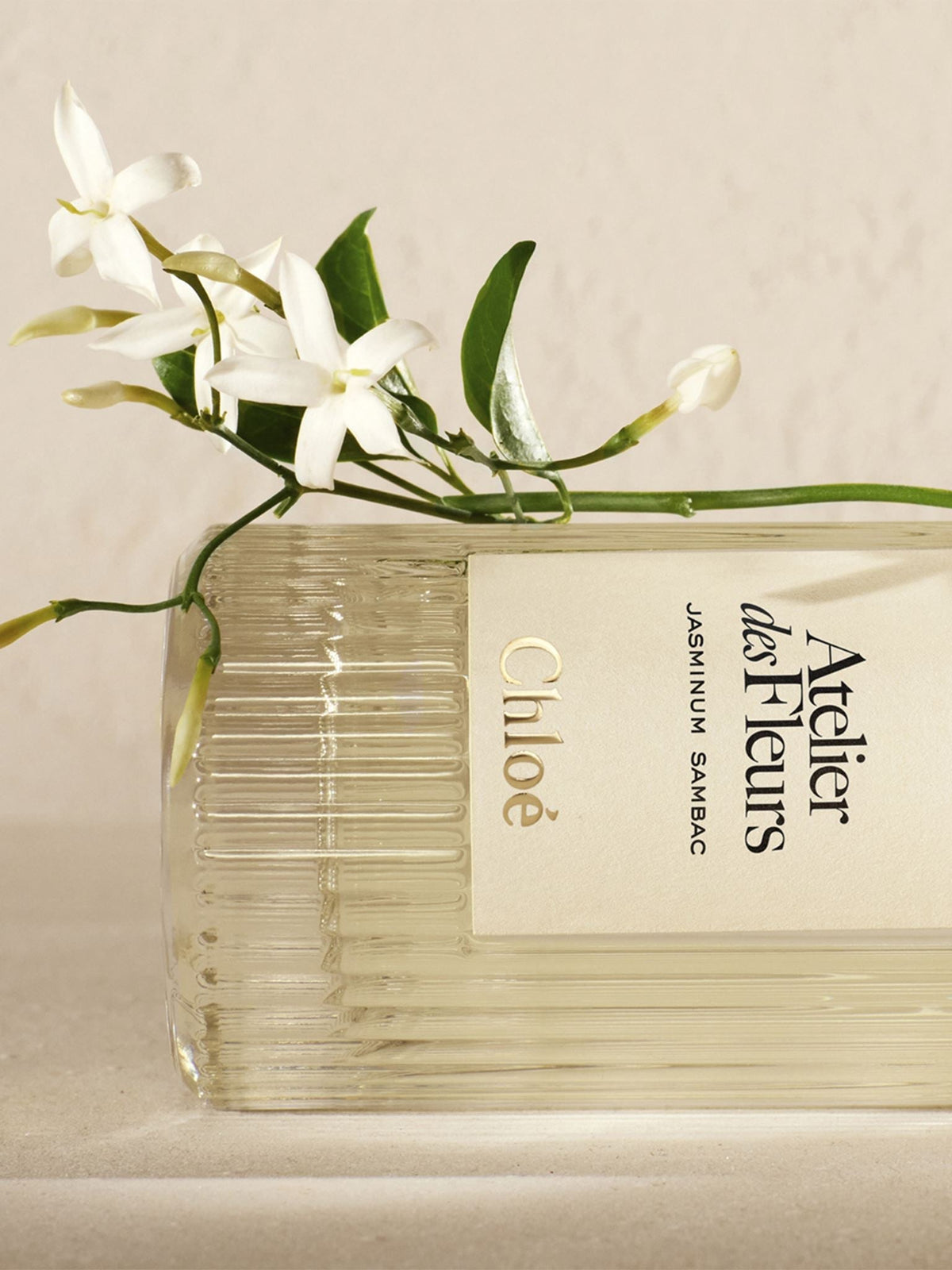 NO PORTE_EAU DE PARFUM  50ML