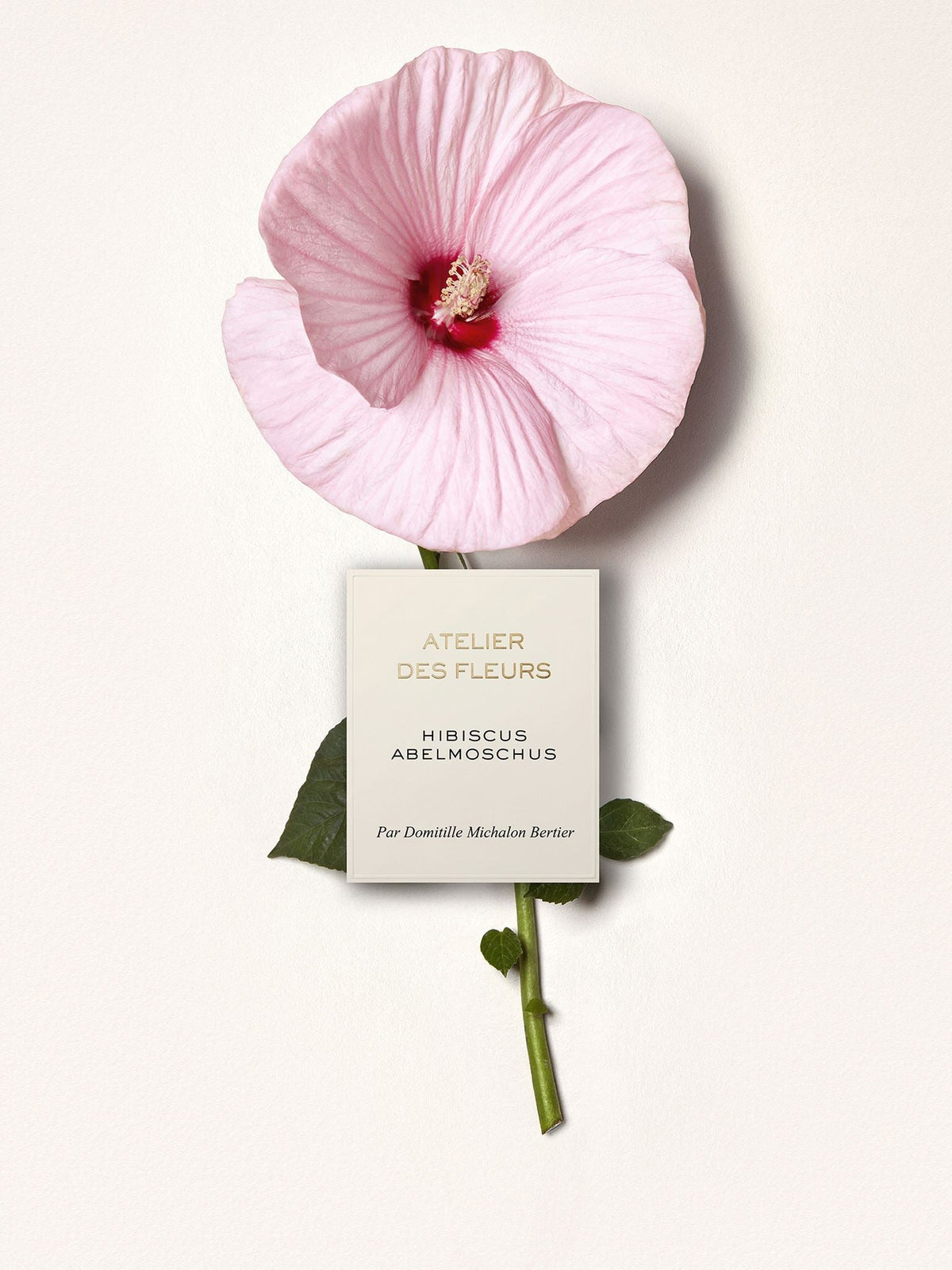 NO PORTE_EAU DE PARFUM 50ML