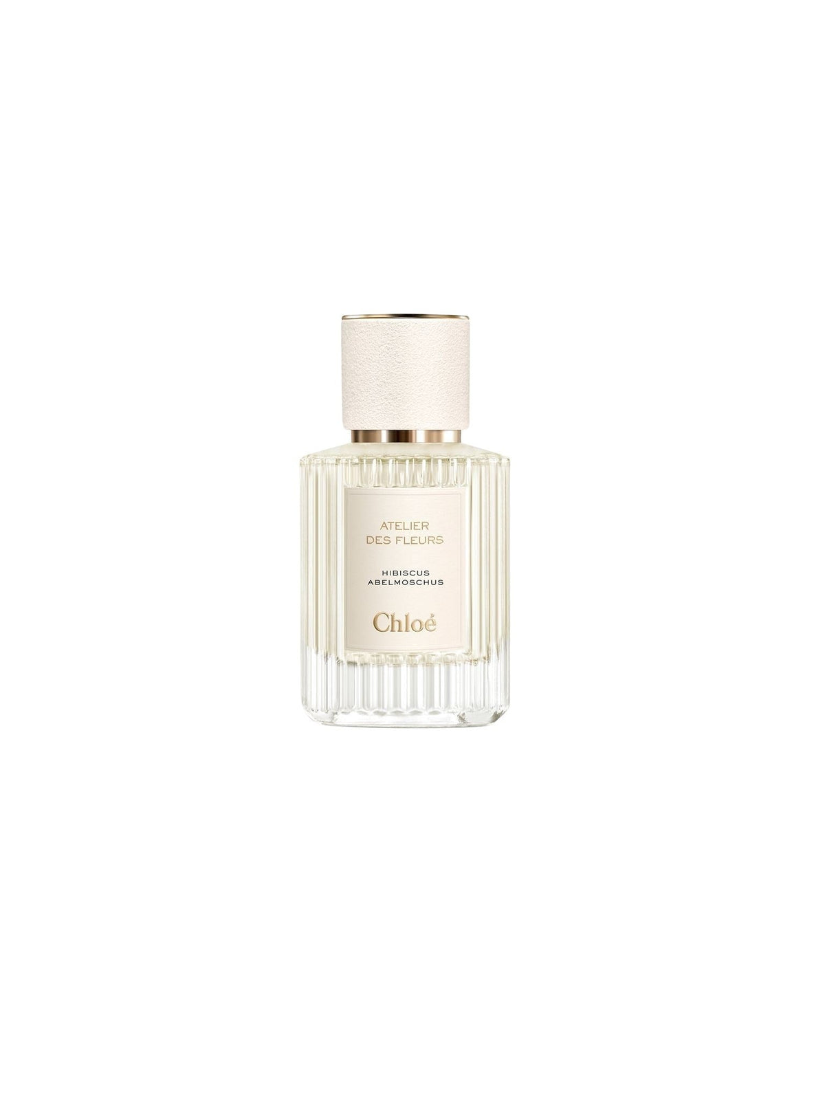 NO PORTE_EAU DE PARFUM 50ML