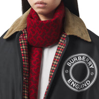 CASHMERE SCARVES ROUGE