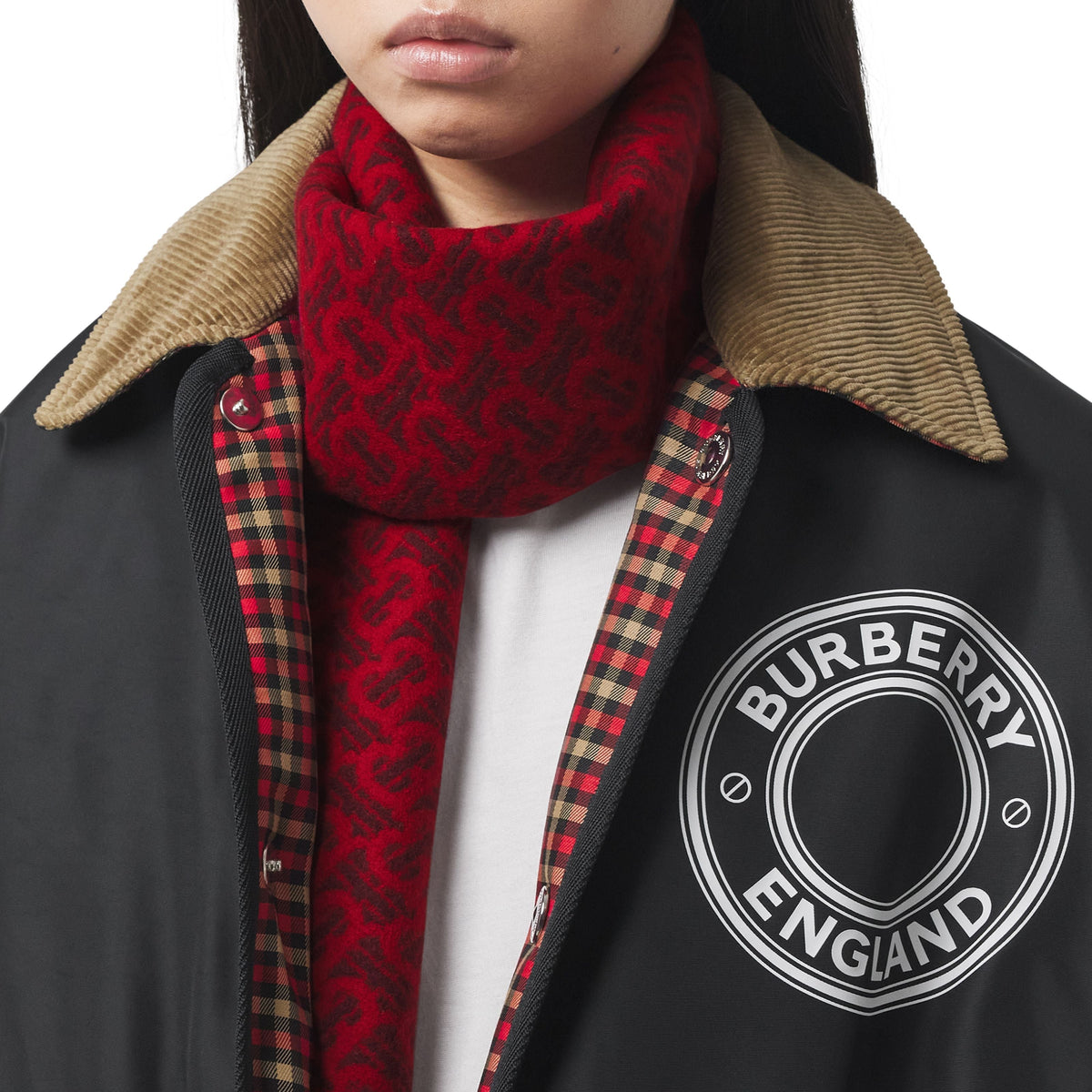 CASHMERE SCARVES ROUGE