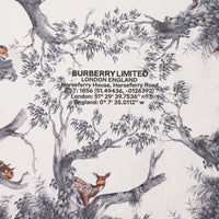 SILK SCARVES NOYER CLAIR
