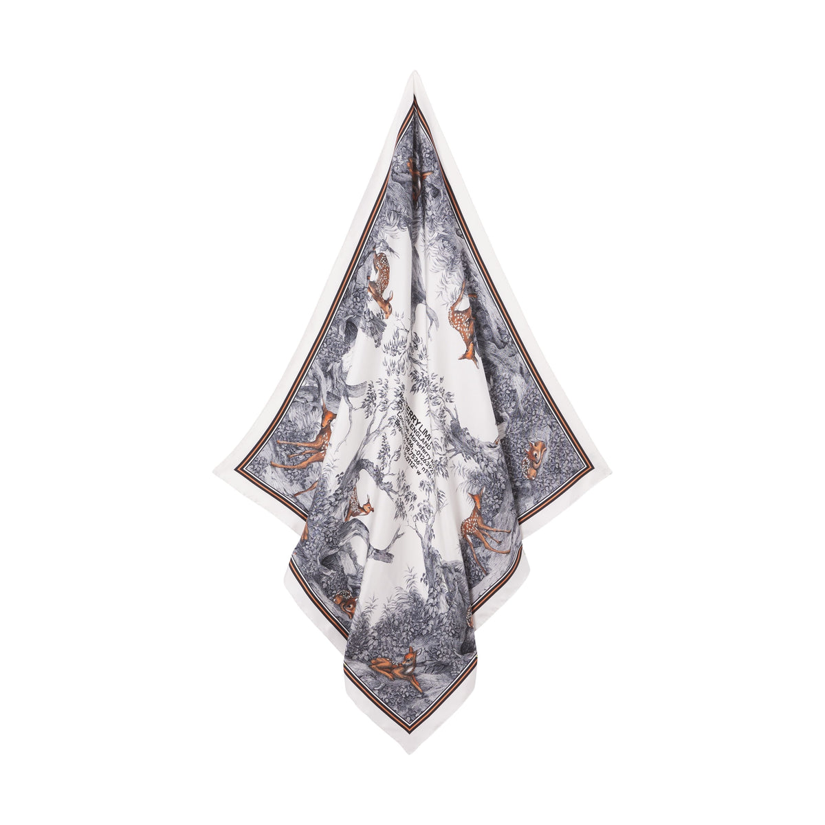 SILK SCARVES NOYER CLAIR