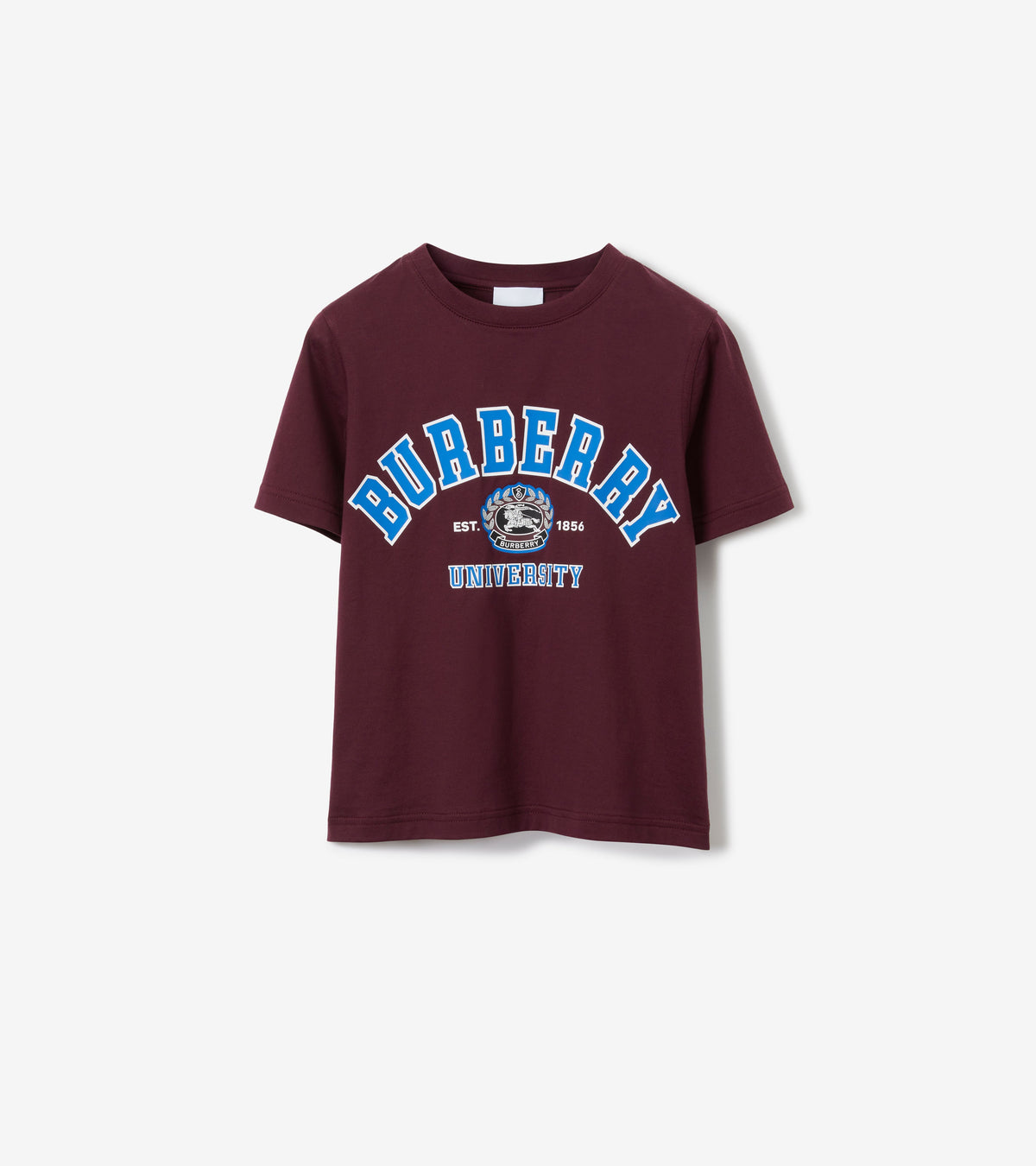 KID BOY T-SHIRTS MARRON PROFOND