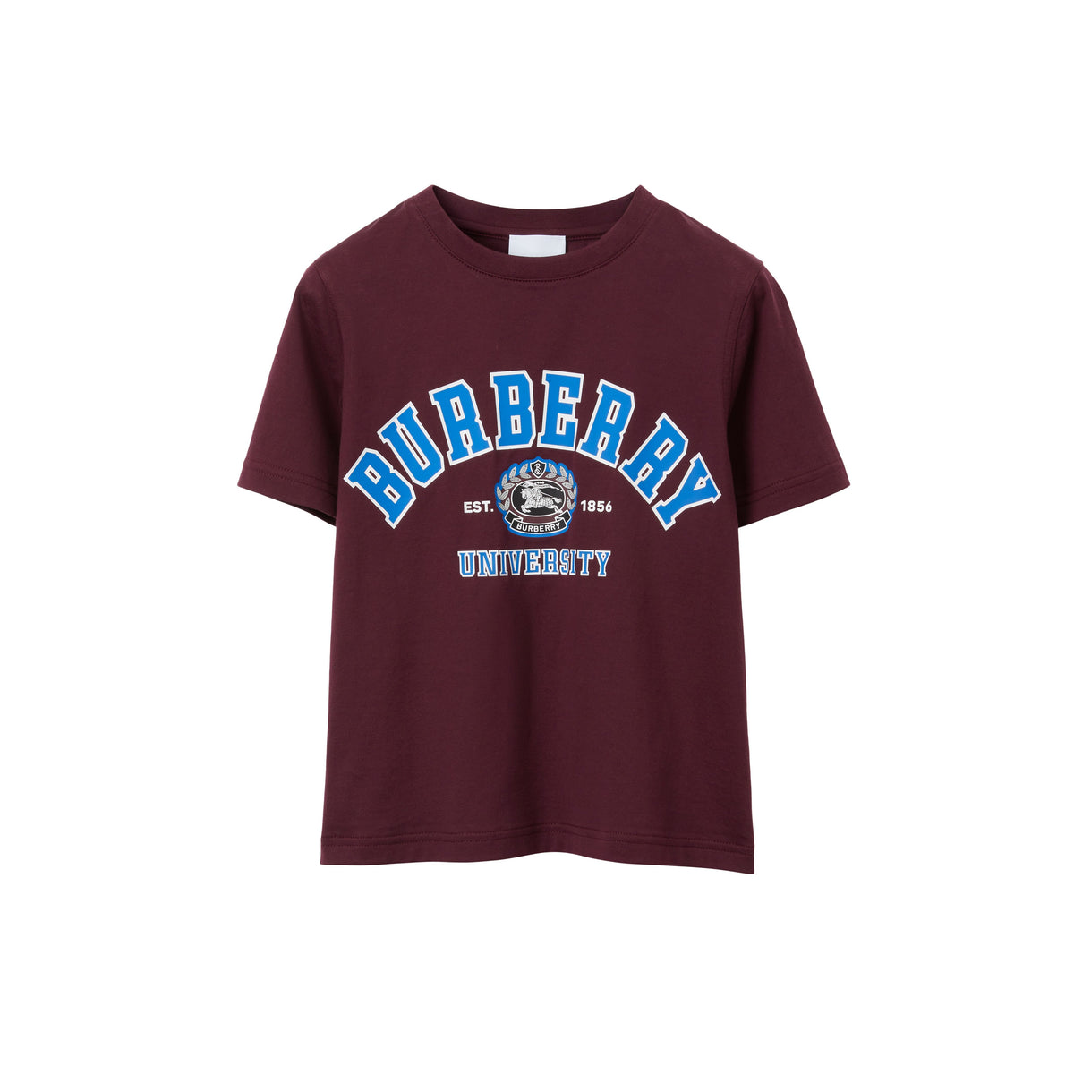 KID BOY T-SHIRTS MARRON PROFOND