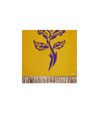 CASHMERE SCARVES ROYAL / PEAR