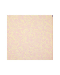 SILK SCARVES CAMEO