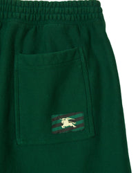 M JERSEY SHORTS IVY