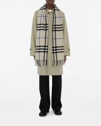 CASHMERE SCARVES Lichen