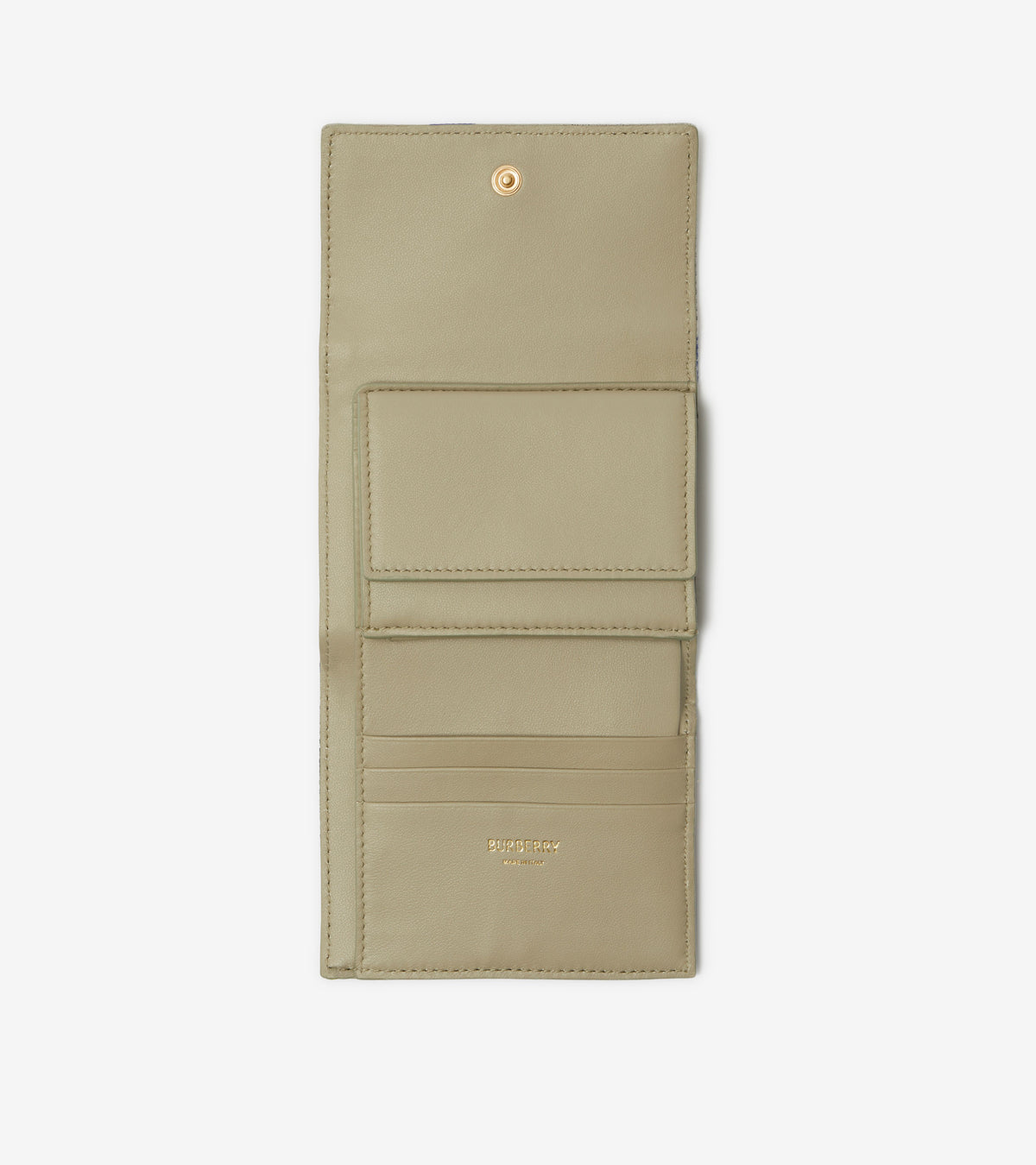 W WALLET LICHEN