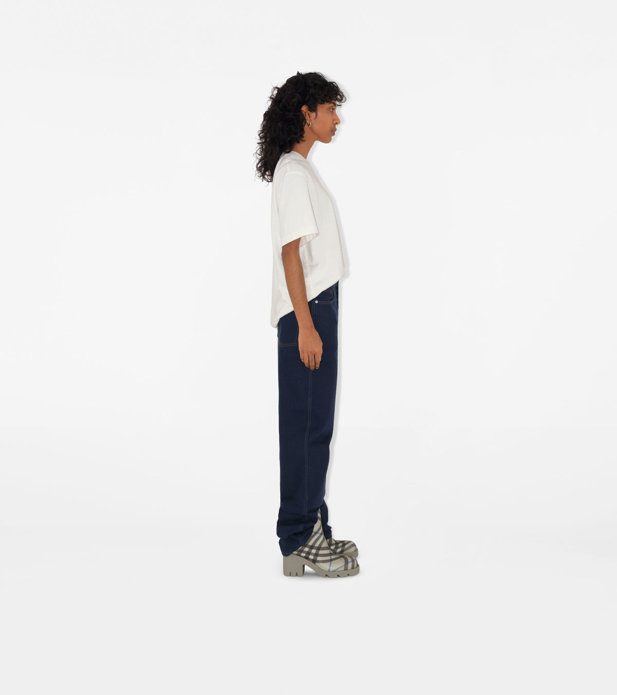 W BOOT CHK IP LICHEN