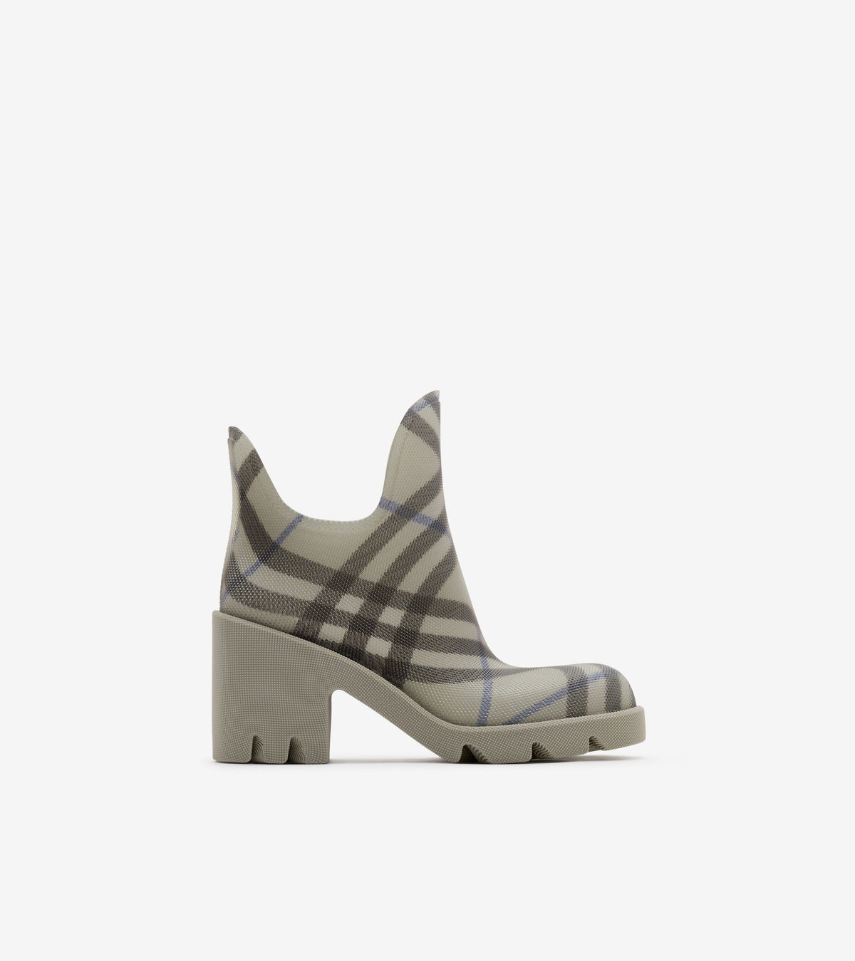 W BOOT CHK IP LICHEN