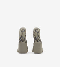 W BOOT CHK IP LICHEN
