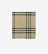 OTHER SCARVES LIGHT SAGE