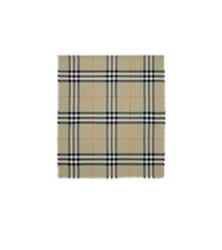 OTHER SCARVES LIGHT SAGE