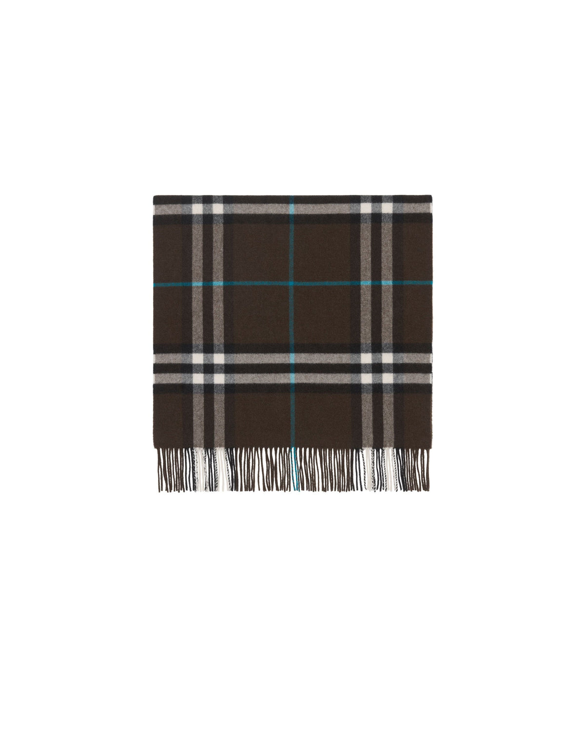 CASHMERE SCARVES Snug