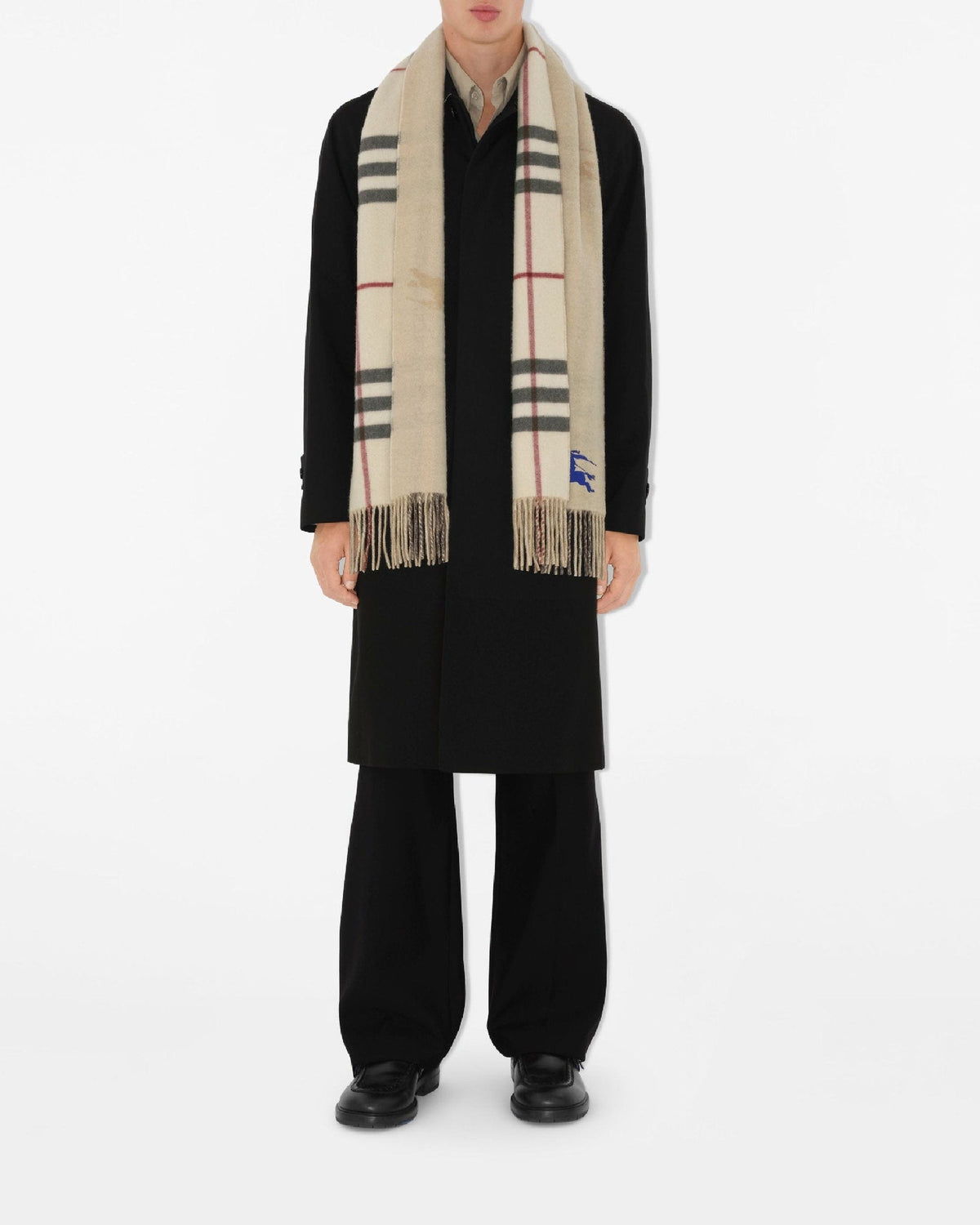 CASHMERE SCARVES PIERRE