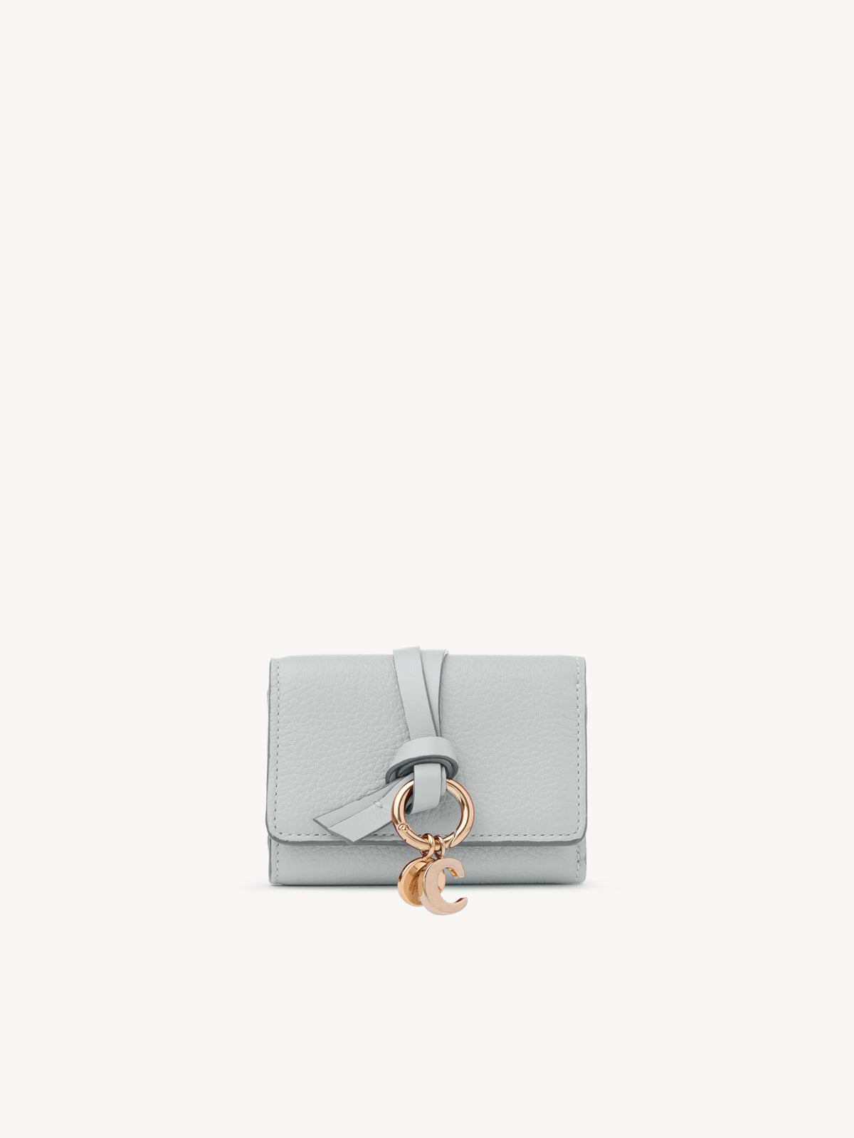 NO PORTE_Blue Mist MINI TRIFOLD - Blue Mist