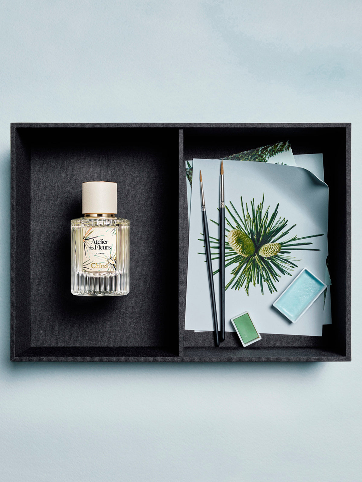 NO PORTE_Cedrus Limited Edition 50ML