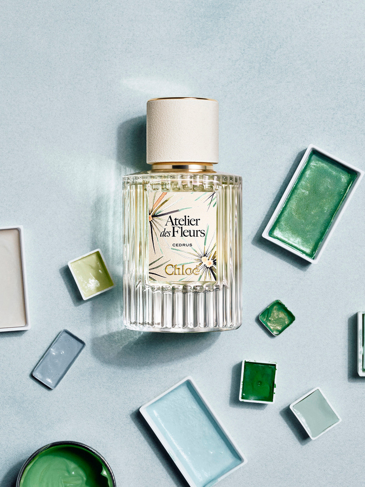 NO PORTE_Cedrus Limited Edition 50ML