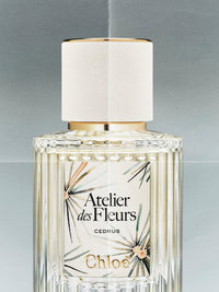 NO PORTE_Cedrus Limited Edition 50ML