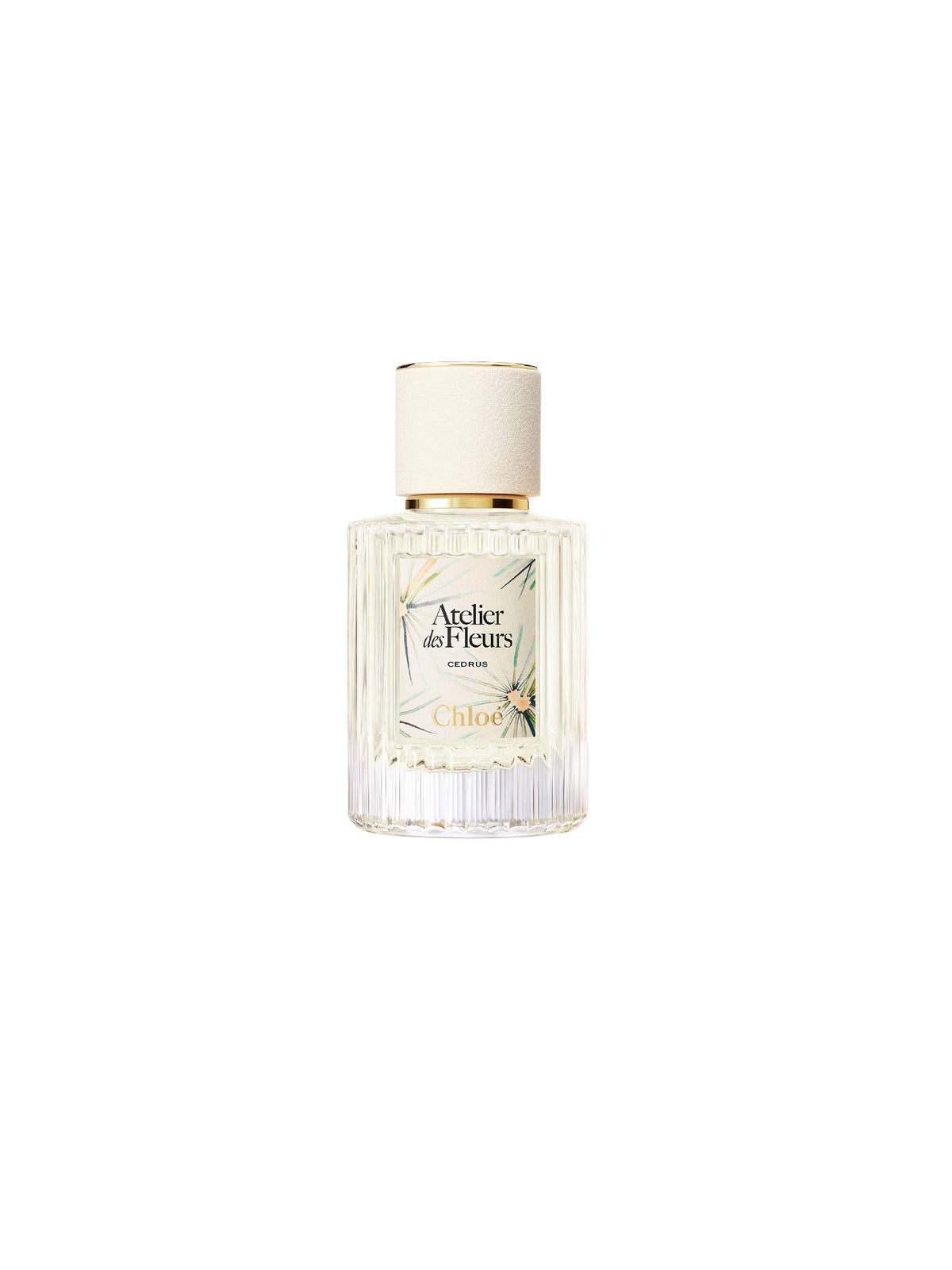 NO PORTE_Cedrus Limited Edition 50ML