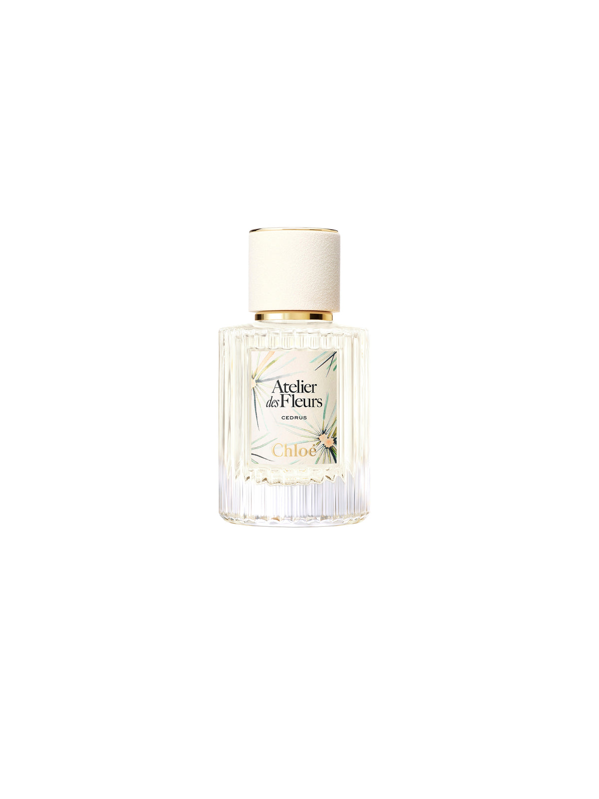 NO PORTE_Cedrus Limited Edition 50ML