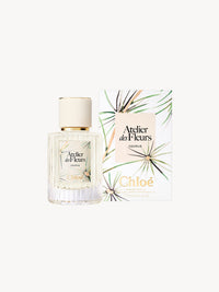 NO PORTE_Cedrus Limited Edition 50ML
