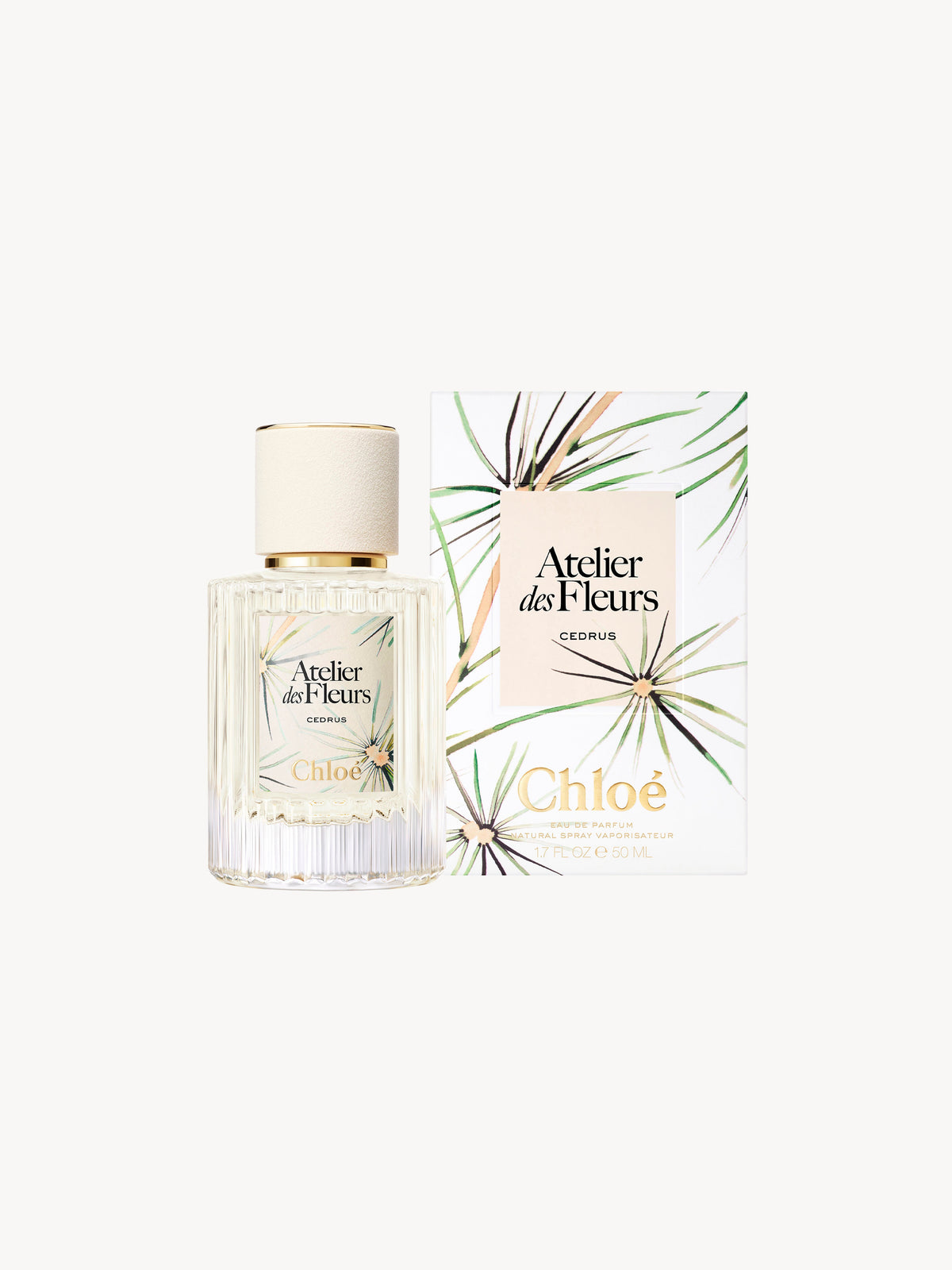 NO PORTE_Cedrus Limited Edition 50ML