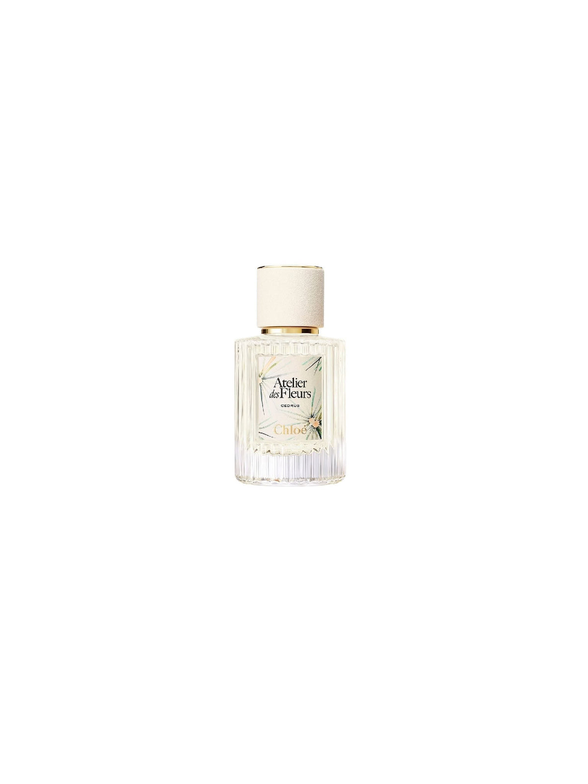 NO PORTE_Cedrus Limited Edition 50ML