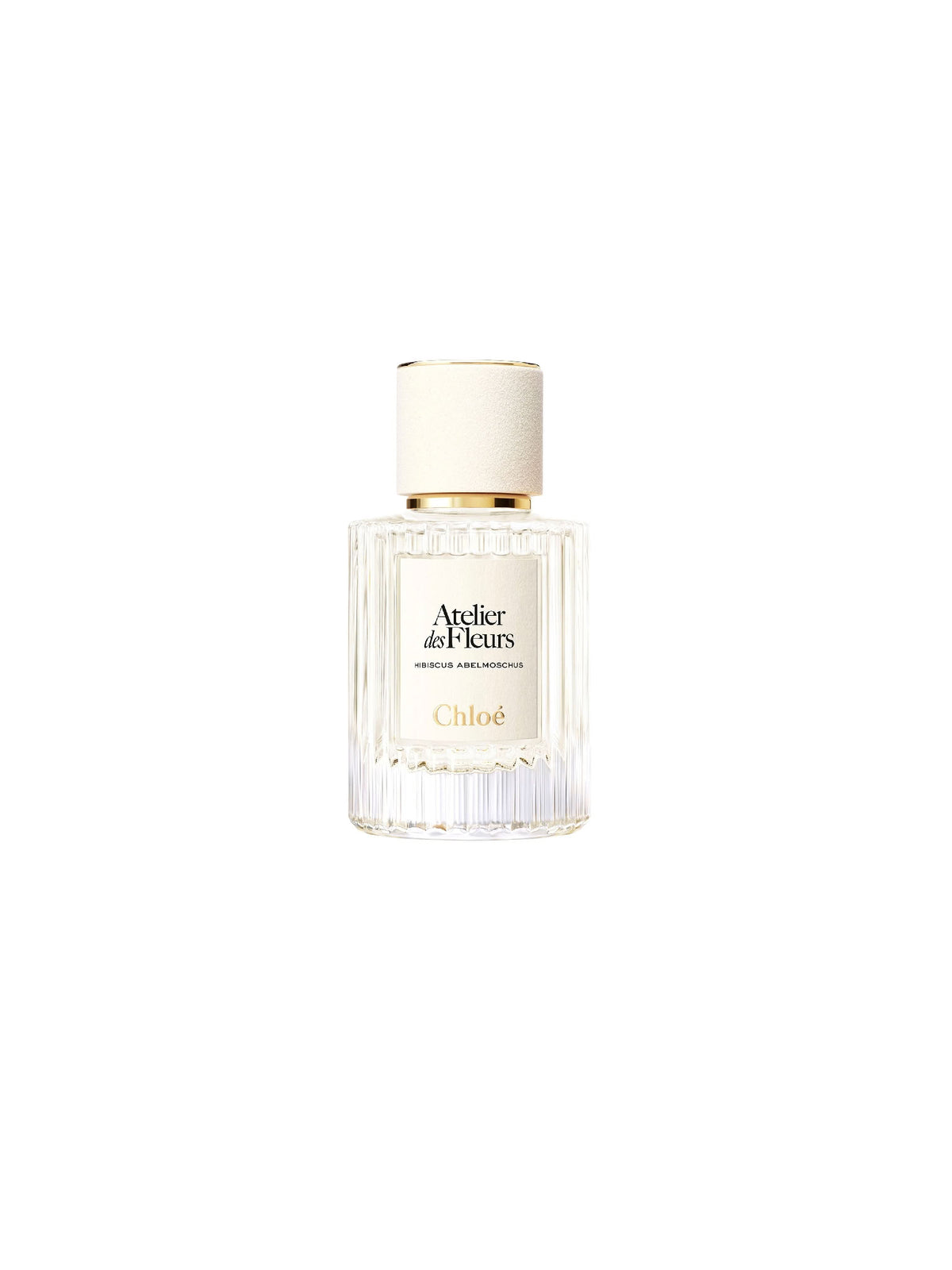 NO PORTE_EAU DE PARFUM  50ML